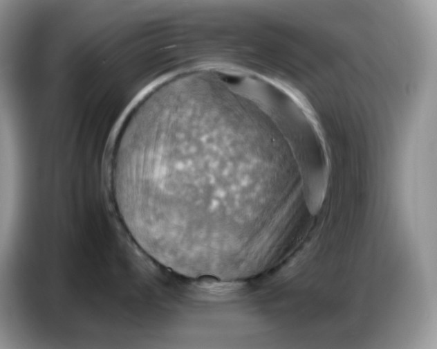 X0000086771008200704271746