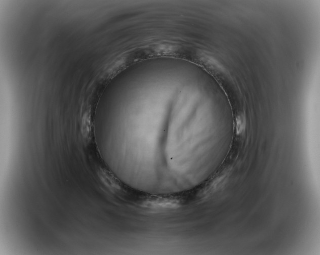 X0000086771011200704271746