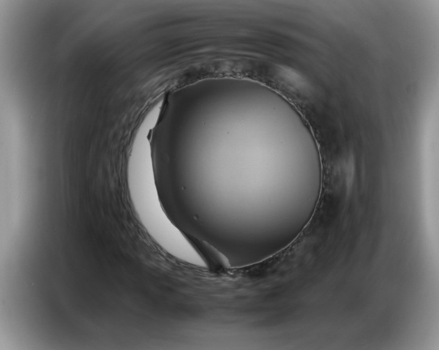 X0000086771013200704271746