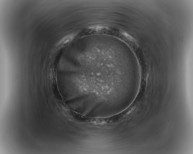 X0000086771014200704271746