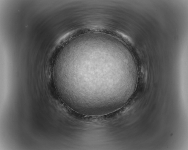 X0000086771016200704271746