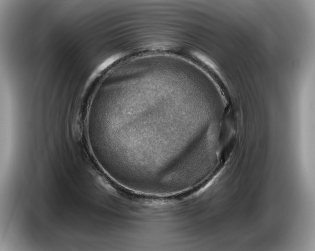 X0000086771018200704271746