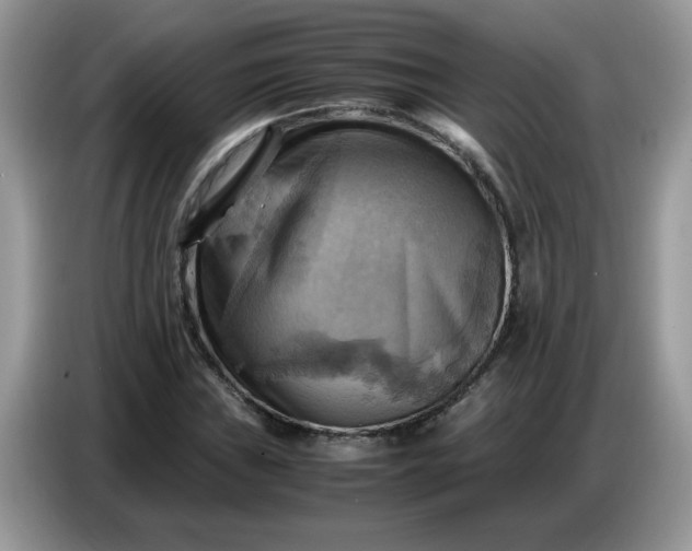 X0000086771019200704271746