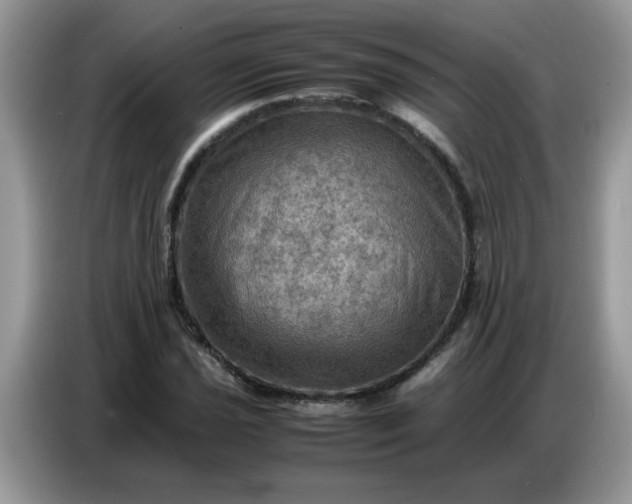 X0000086771021200704271746