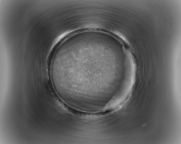 X0000086771022200704271746