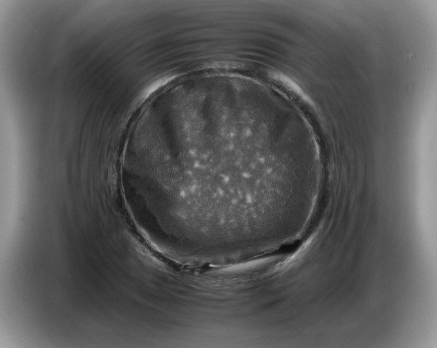 X0000086771025200704271746
