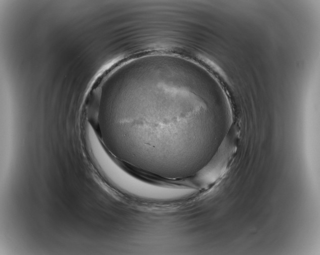X0000086771026200704271746