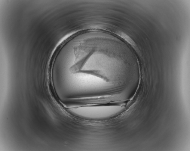 X0000086771028200704271746