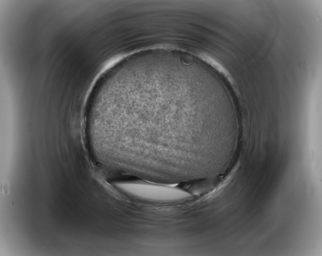 X0000086771029200704271746