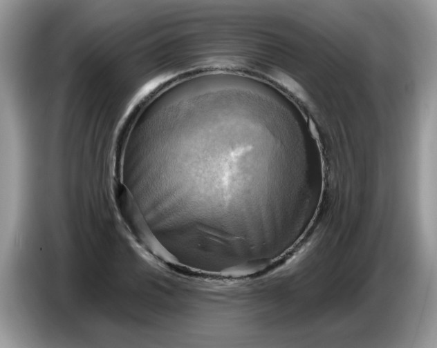 X0000086771030200704271746