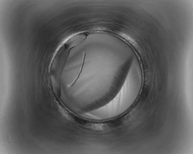 X0000086771031200704271746