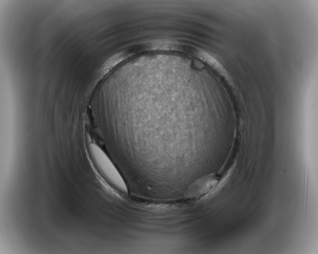 X0000086771033200704271746