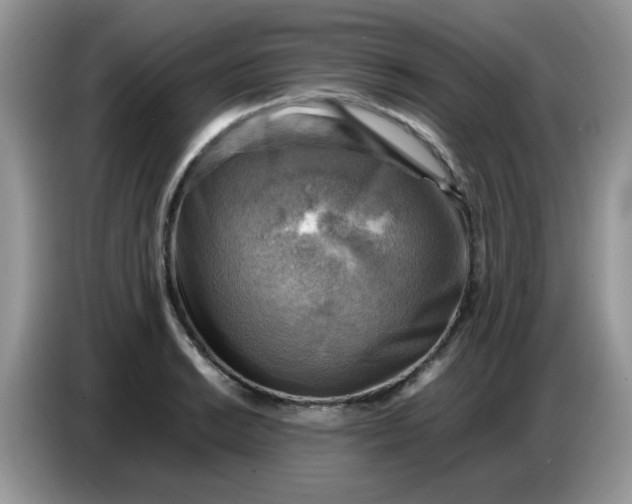 X0000086771038200704271746