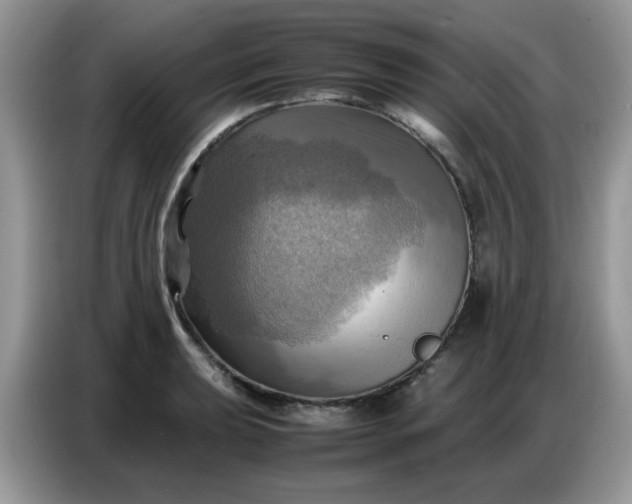 X0000086771039200704271746