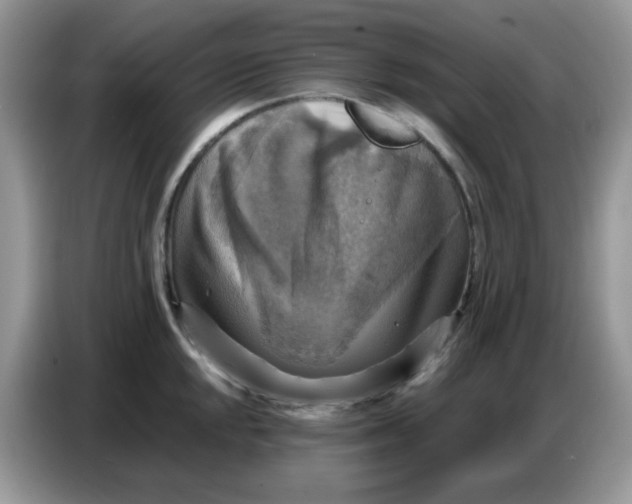 X0000086771048200704271746