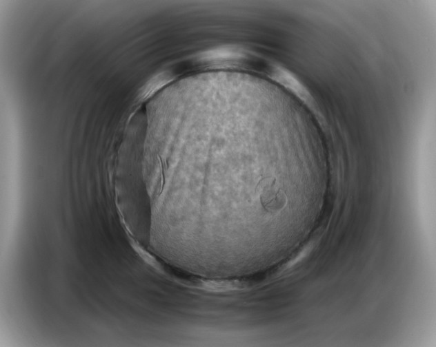 X0000086771049200704271746