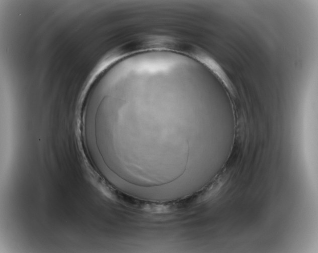X0000086771051200704271746