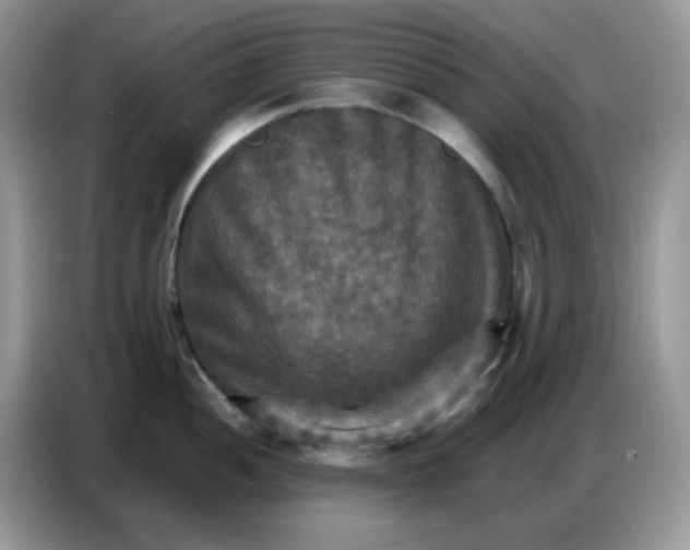 X0000086771052200704271746
