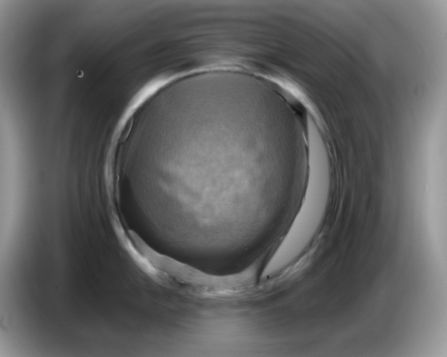 X0000086771054200704271746