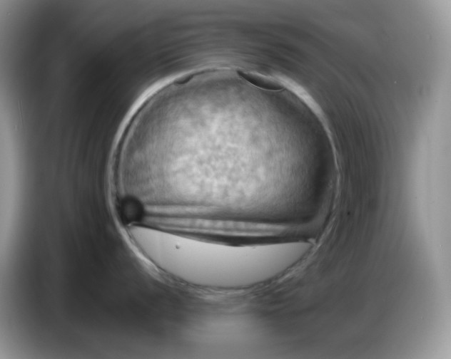 X0000086771056200704271746
