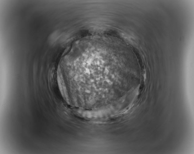 X0000086771059200704271746