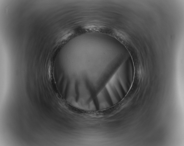 X0000086771060200704271746
