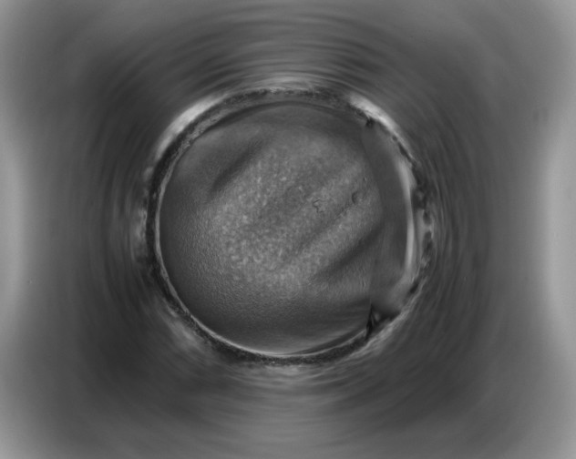 X0000086771066200704271745