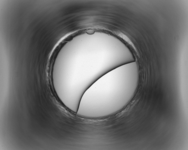 X0000086771068200704271745