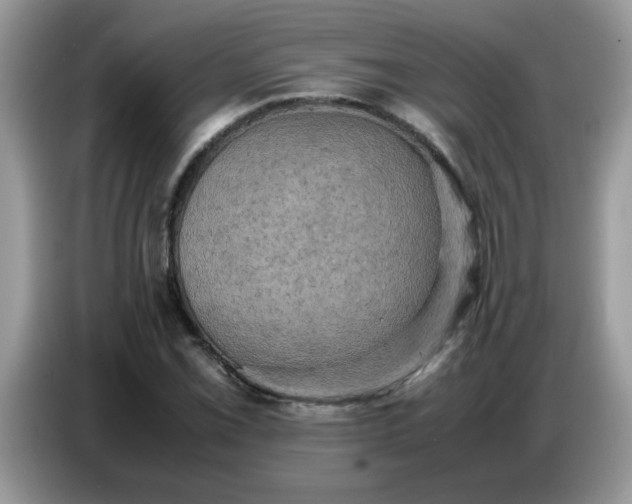 X0000086771069200704271745