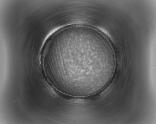 X0000086771070200704271745