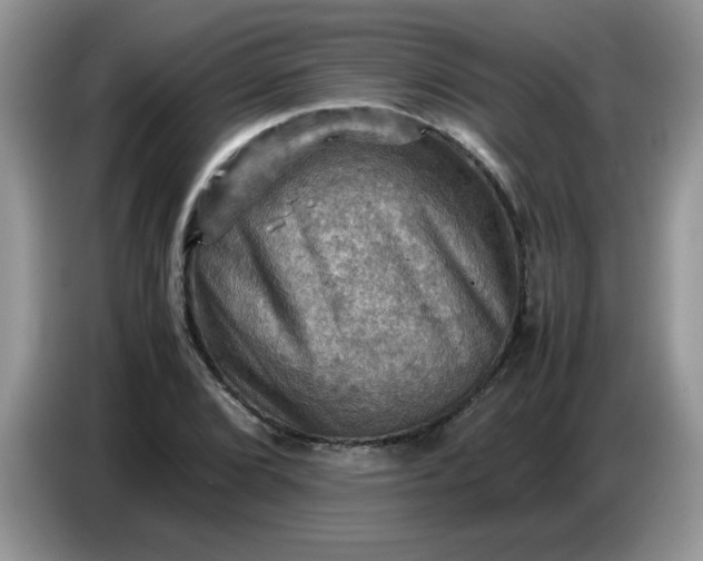 X0000086771072200704271745