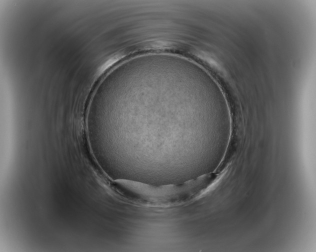 X0000086771073200704271745