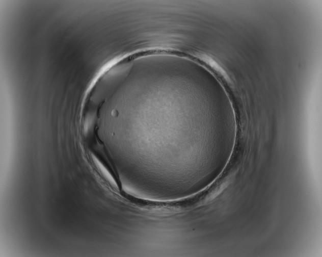 X0000086771077200704271745