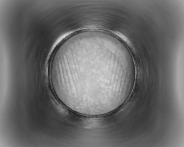 X0000086771078200704271745