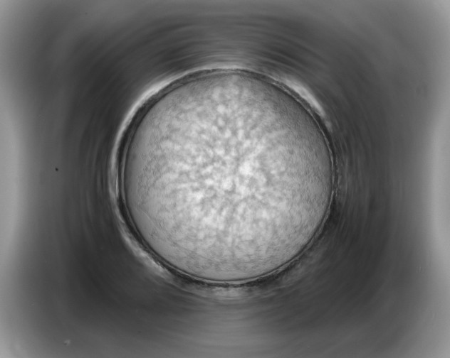 X0000086771080200704271745