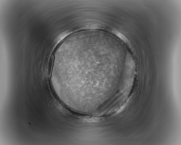 X0000086771081200704271745