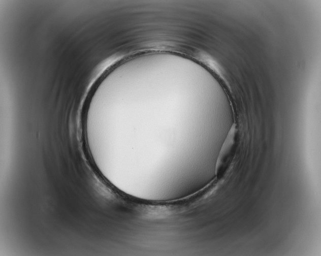 X0000086771082200704271745