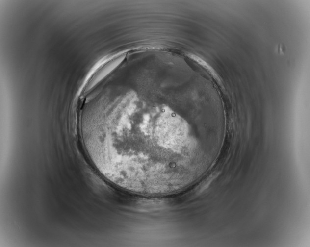 X0000086771083200704271745