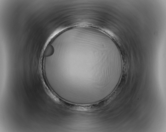 X0000086771086200704271745