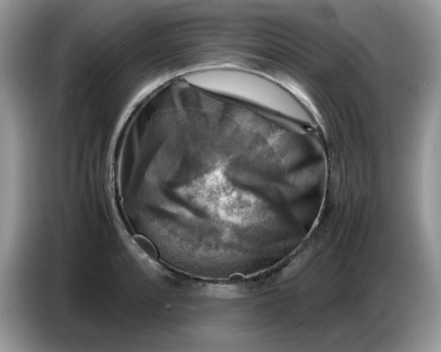 X0000086771088200704271745