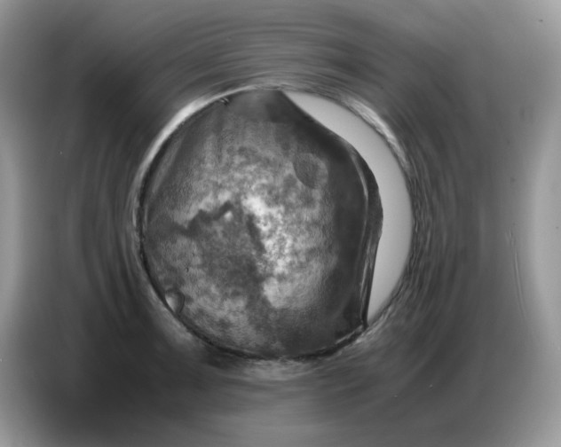 X0000086771091200704271745