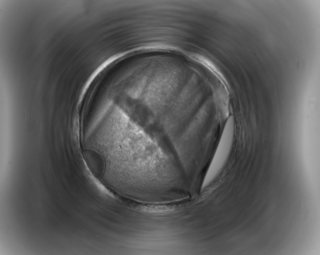 X0000086771092200704271745