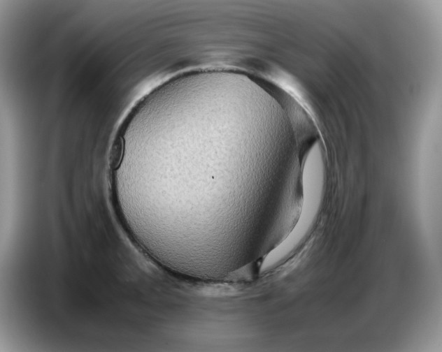 X0000086771093200704271745