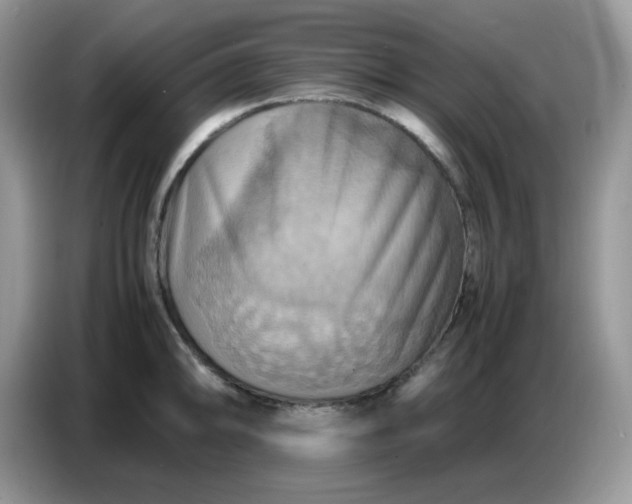 X0000086771094200704271745