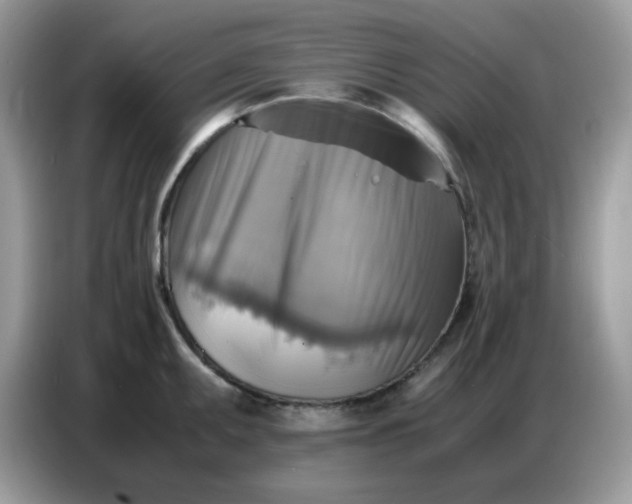 X0000086771095200704271745