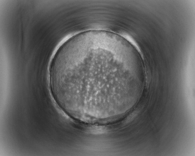 X0000086771096200704271745
