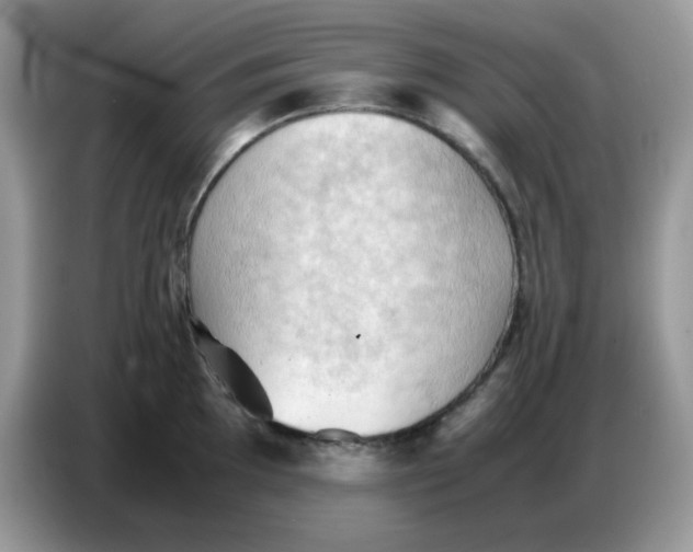X0000086771097200704271745