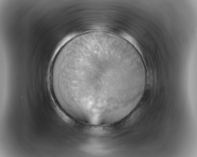 X0000086771098200704271745