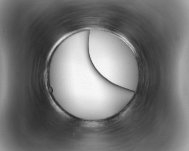 X0000086771100200704271745