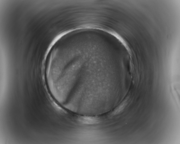 X0000086771102200704271745